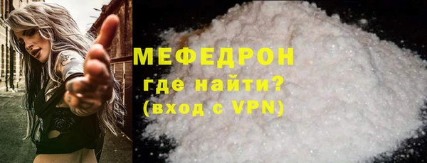 индика Мегион