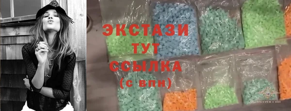 индика Мегион