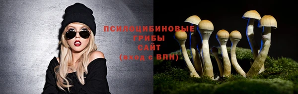 индика Мегион