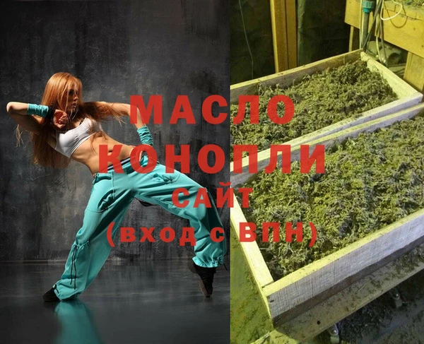индика Мегион