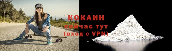 индика Мегион