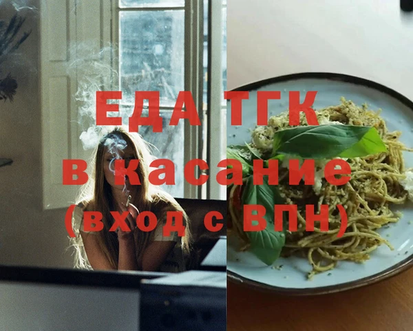 индика Мегион