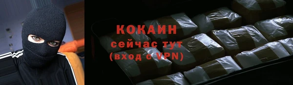 индика Мегион