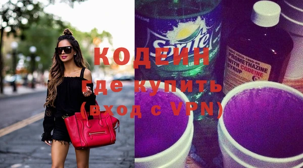 индика Мегион