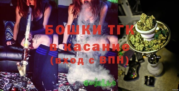 индика Мегион