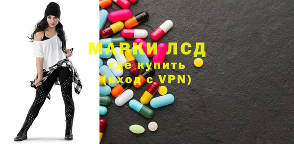 индика Мегион