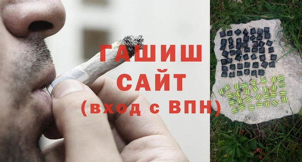 гидра Богородск