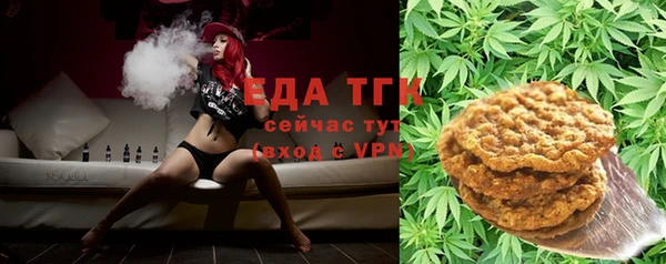 индика Мегион