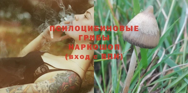 первитин Медвежьегорск